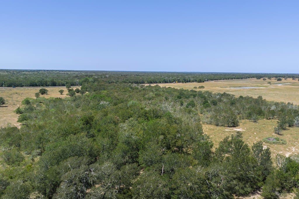 50 acres in Fayette County - photo 4