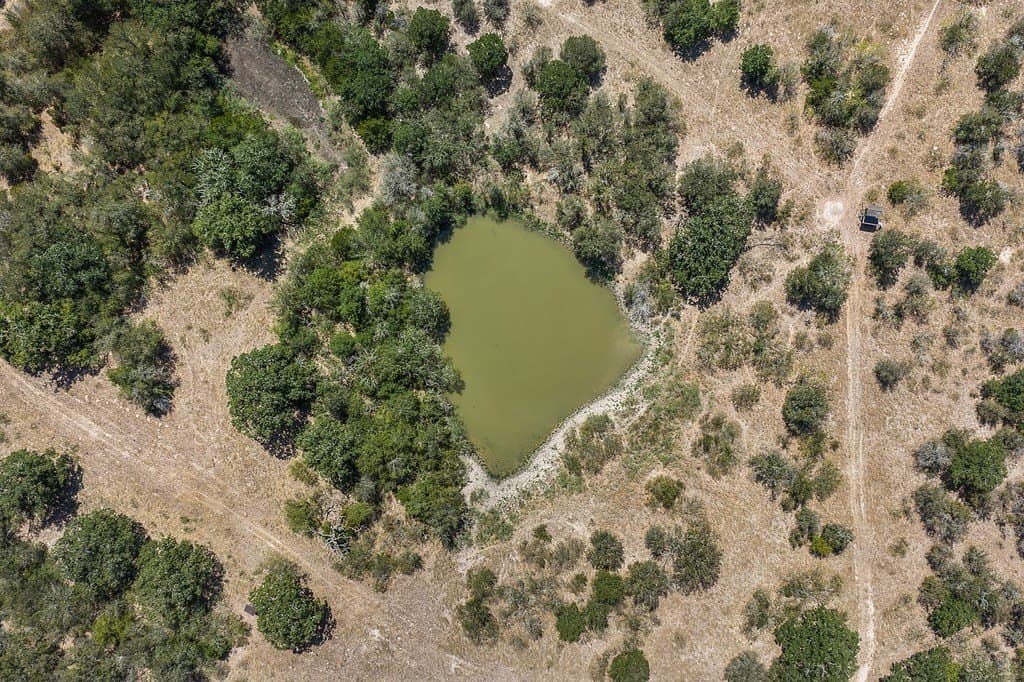 50 acres in Fayette County - photo 7