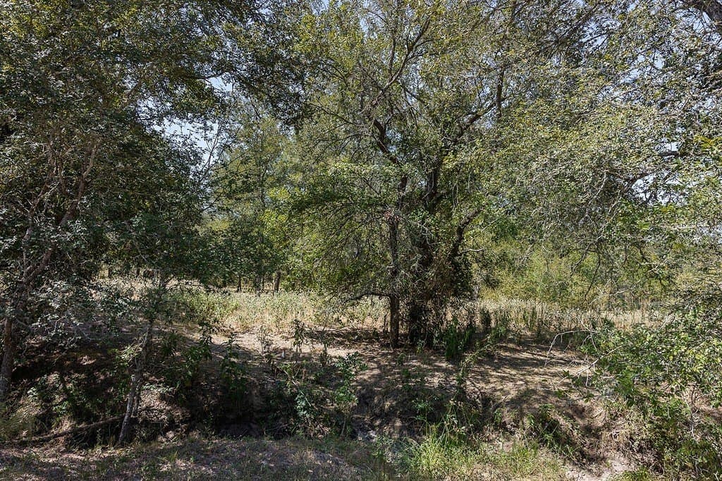 50 acres in Fayette County - photo 18