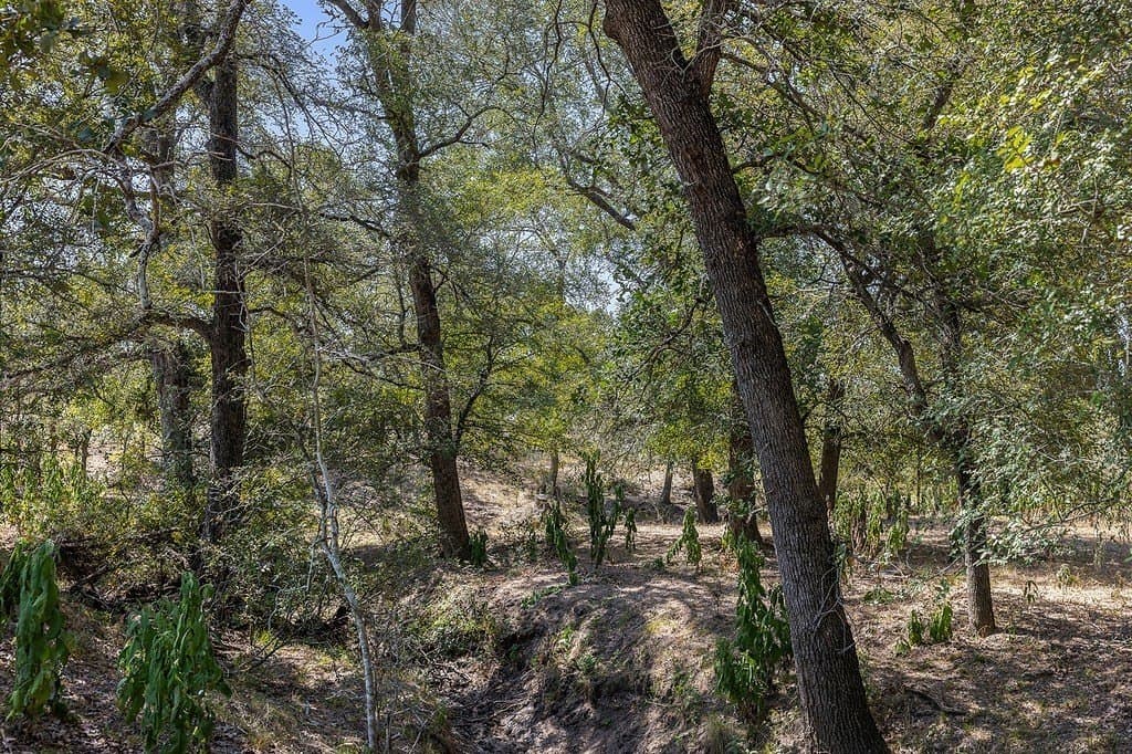 50 acres in Fayette County - photo 19