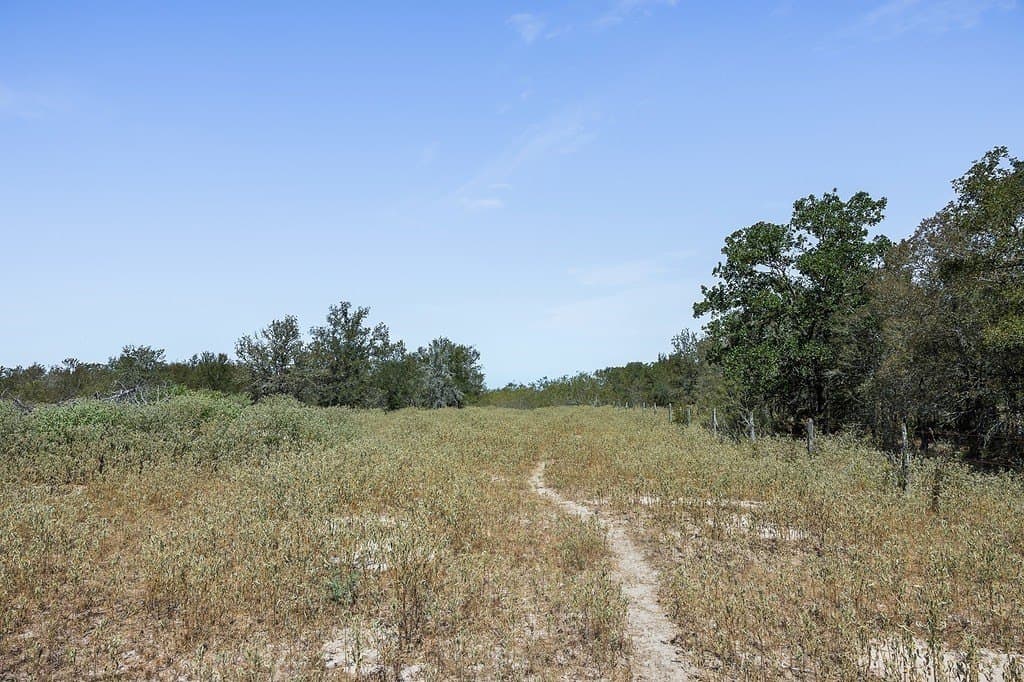 50 acres in Fayette County - photo 16