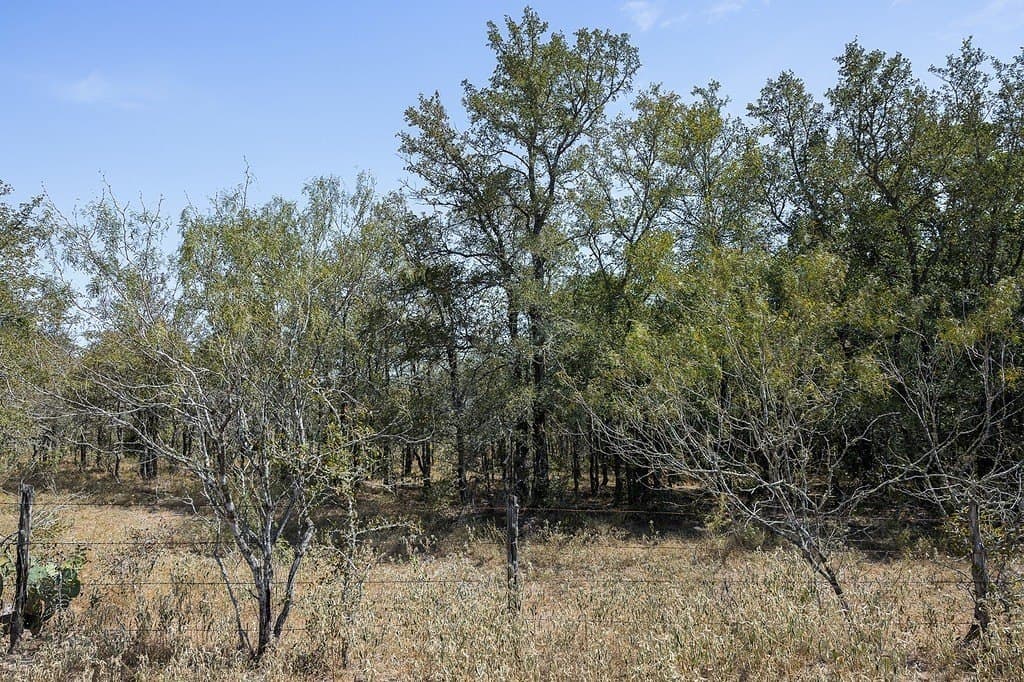 50 acres in Fayette County - photo 14