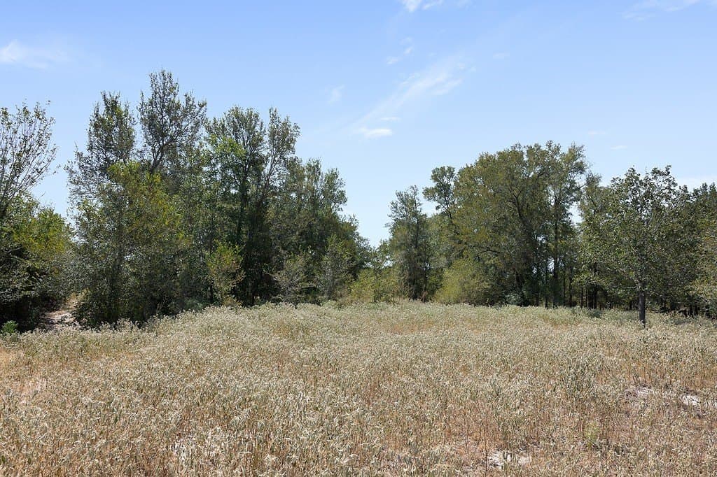 50 acres in Fayette County - photo 12