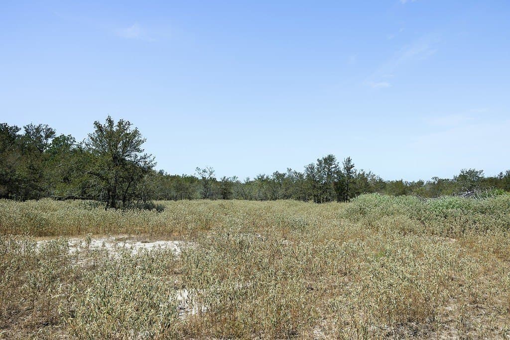 50 acres in Fayette County - photo 15