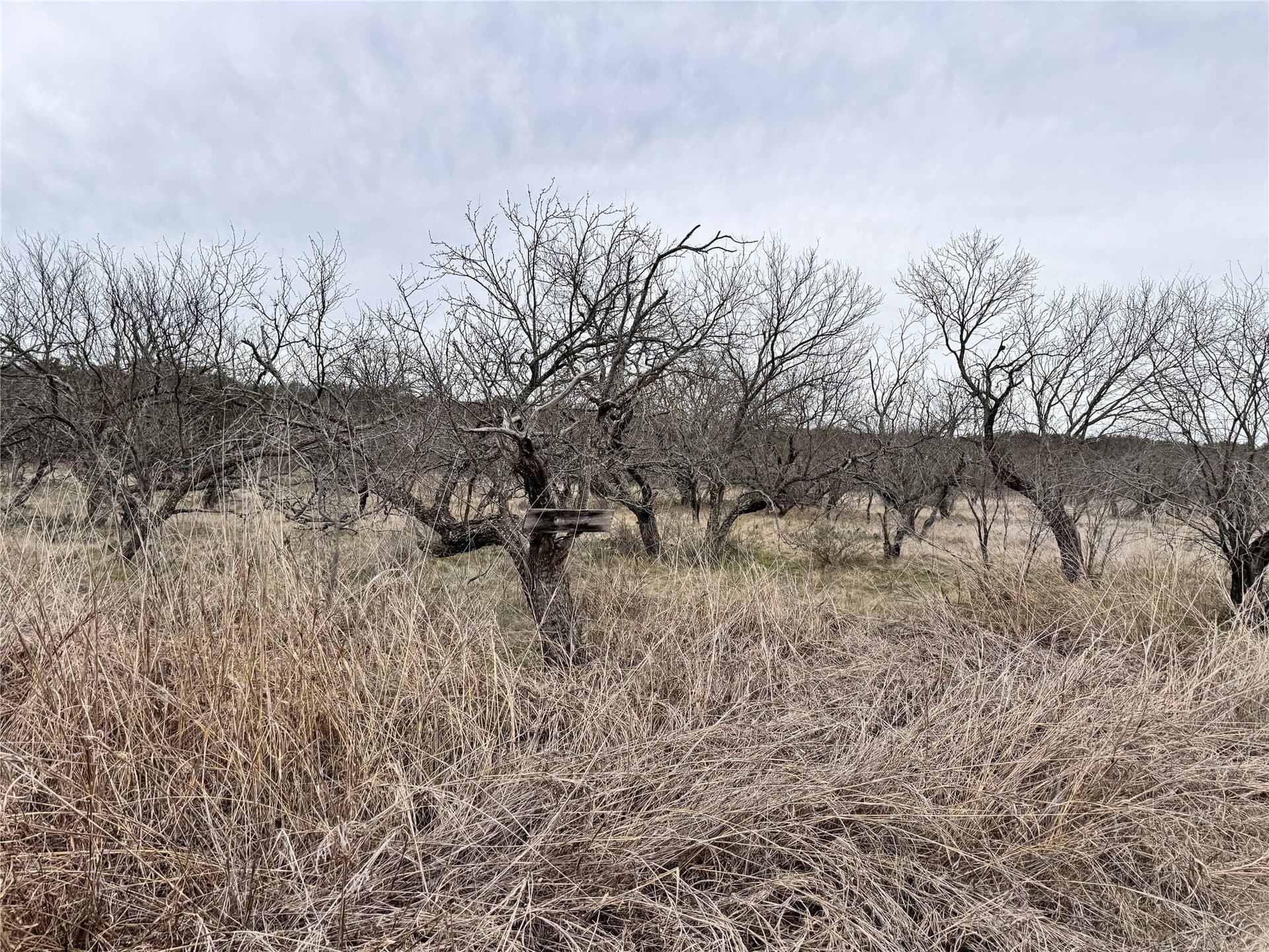 0.06 acres in Brown County - photo 13