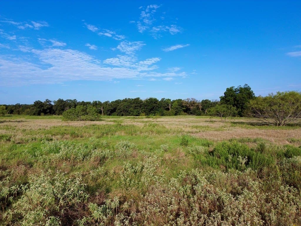 4.82 acres in Kaufman County gallery image 3