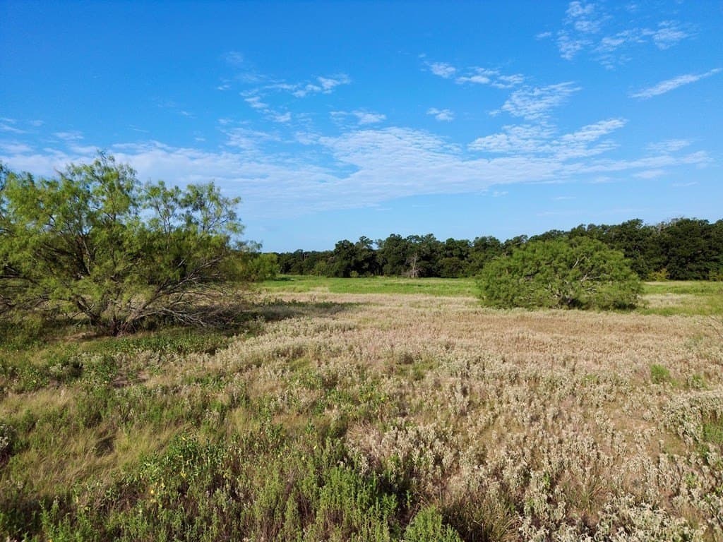 4.82 acres in Kaufman County gallery image 4