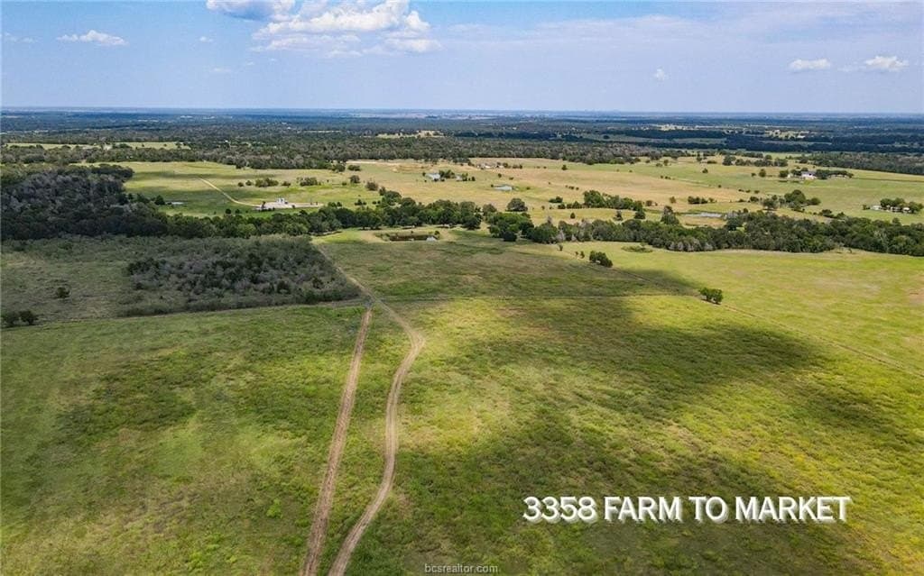 54.5 acres in Burleson County featured view