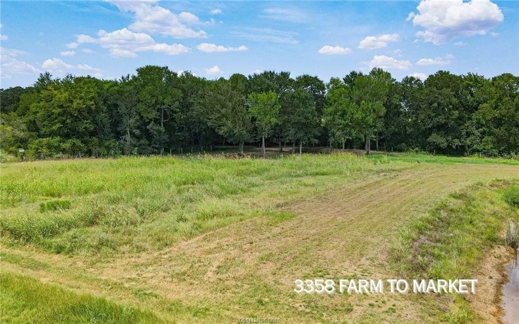 54.5 acres in Burleson County gallery image 3