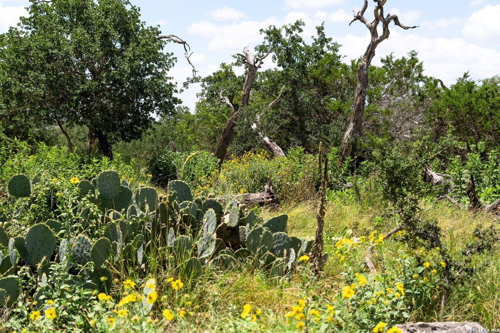 8.39 acres in Kendall County - photo 17