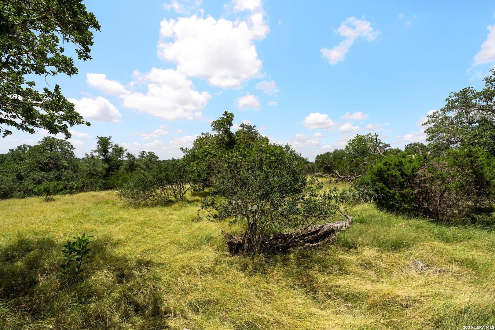 8.39 acres in Kendall County gallery image 4
