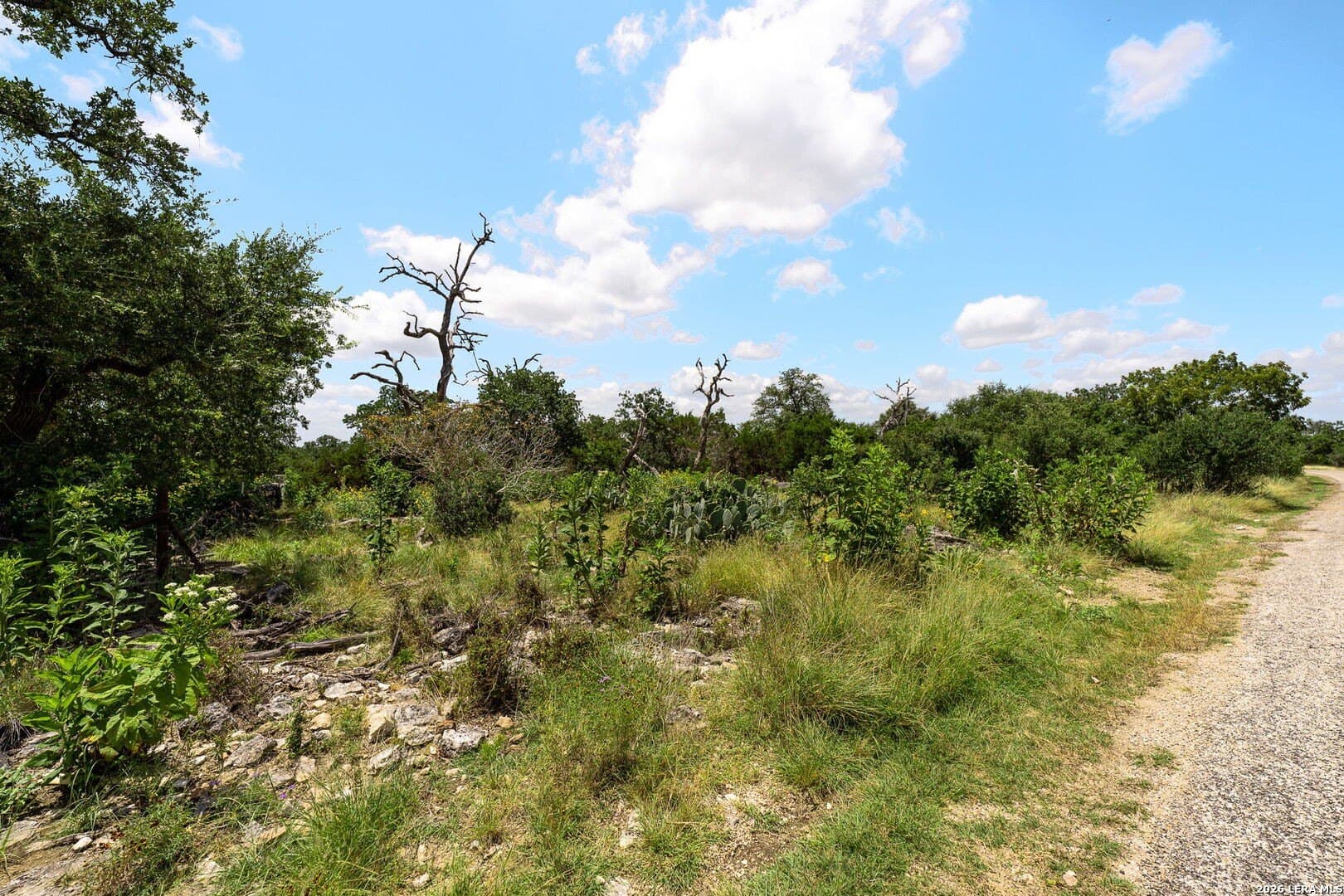 8.39 acres in Kendall County - photo 14