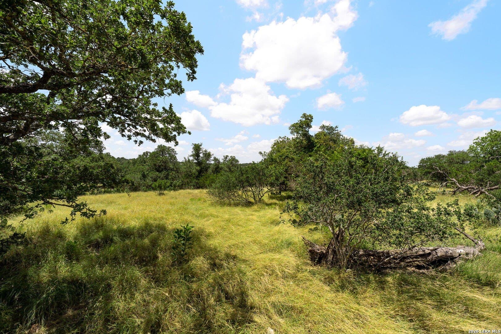 8.39 acres in Kendall County gallery image 3