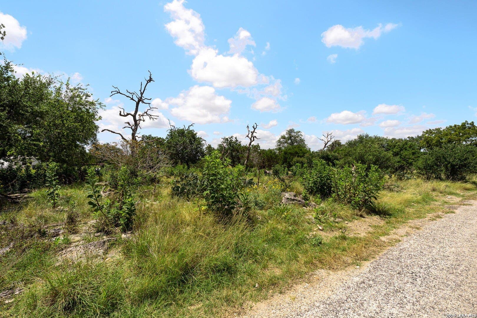 8.39 acres in Kendall County - photo 13