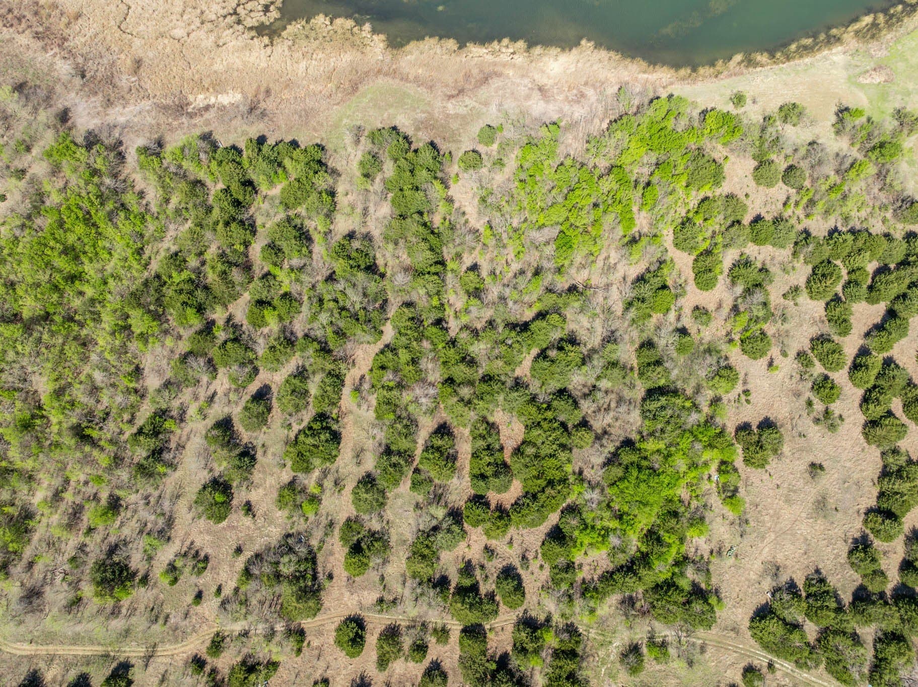 4.24 acres in Ellis County - photo 5