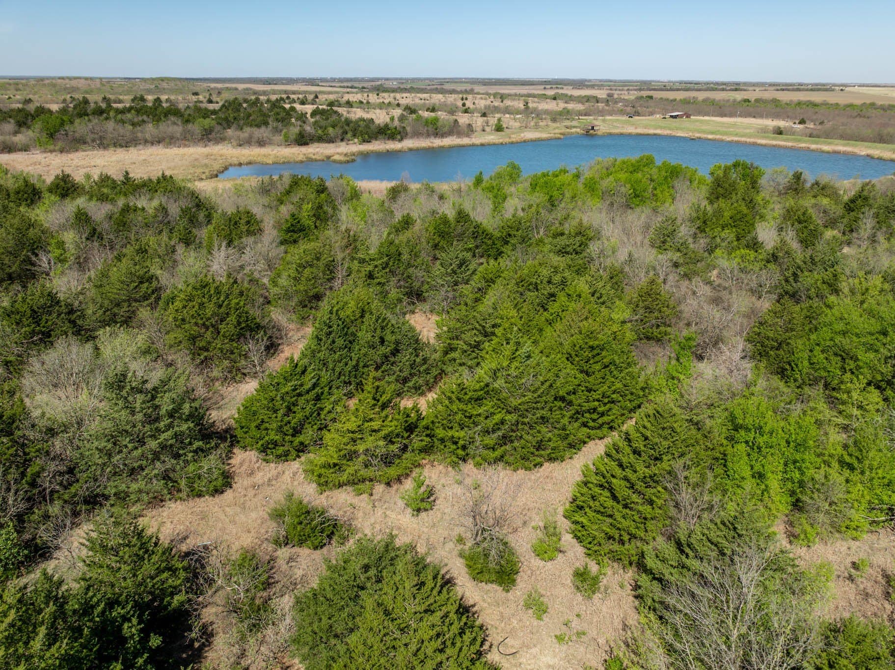 4.24 acres in Ellis County - photo 11