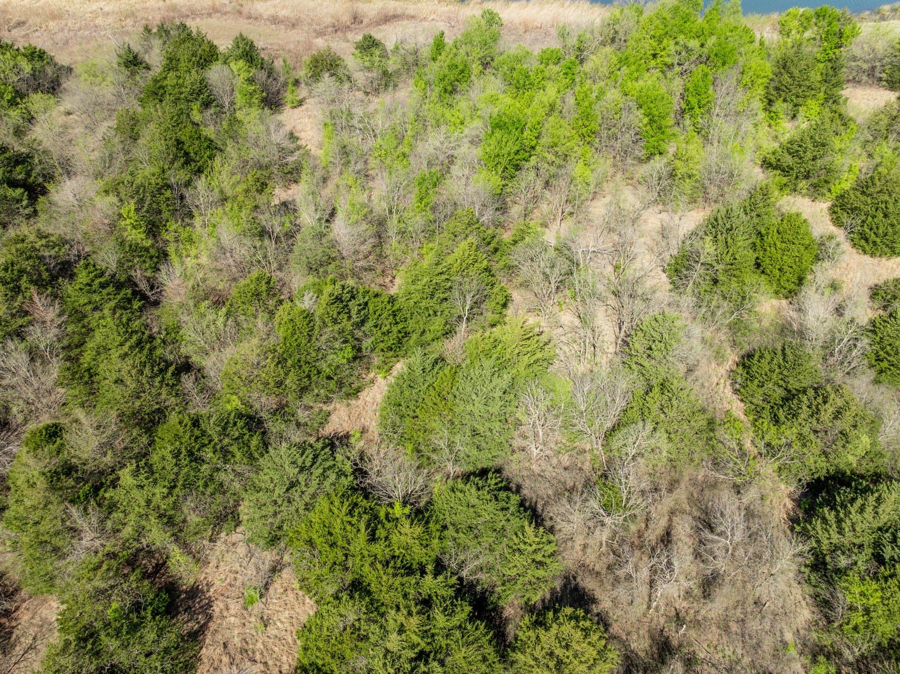 4.24 acres in Ellis County - photo 13