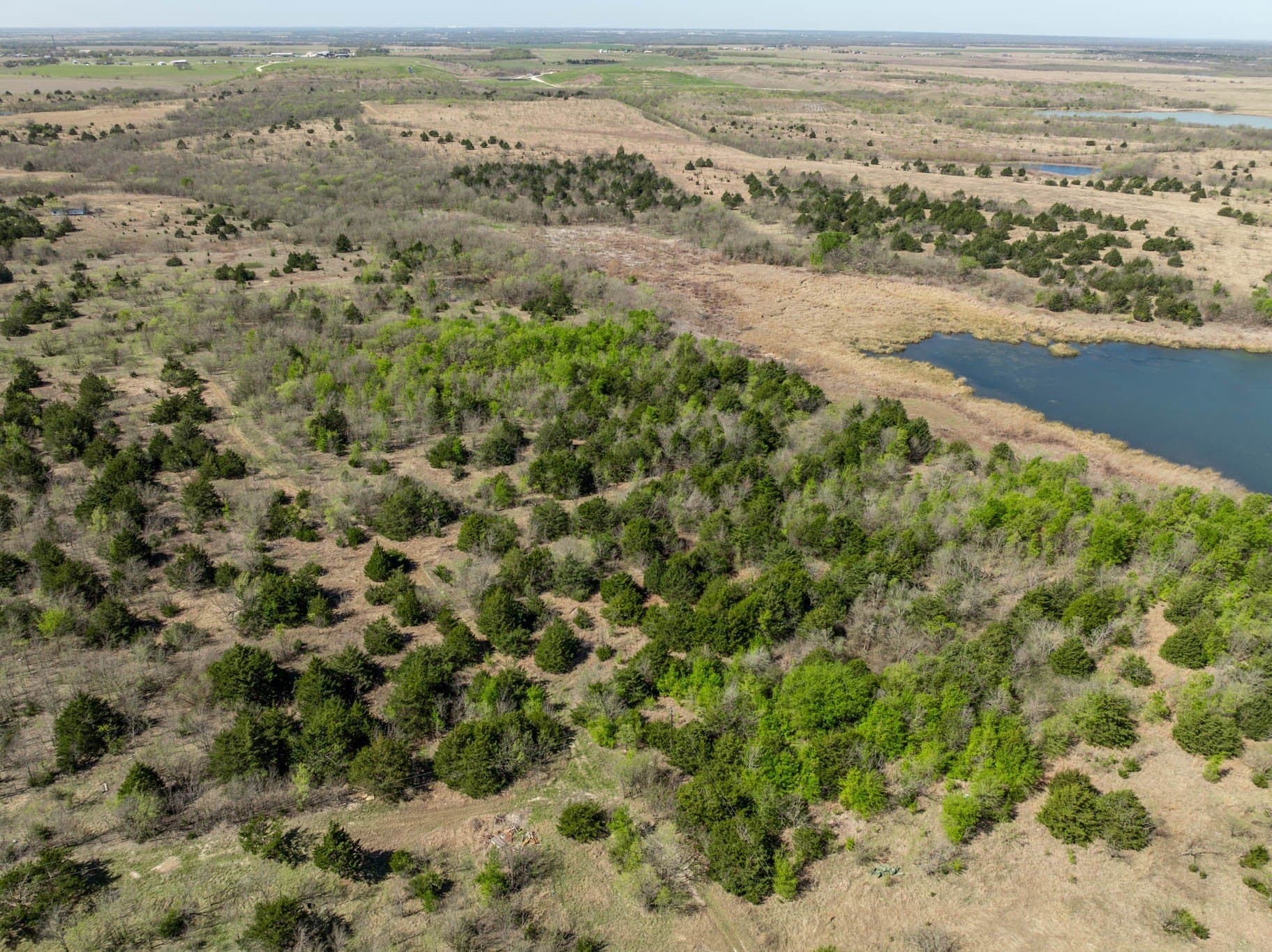 4.24 acres in Ellis County - photo 4