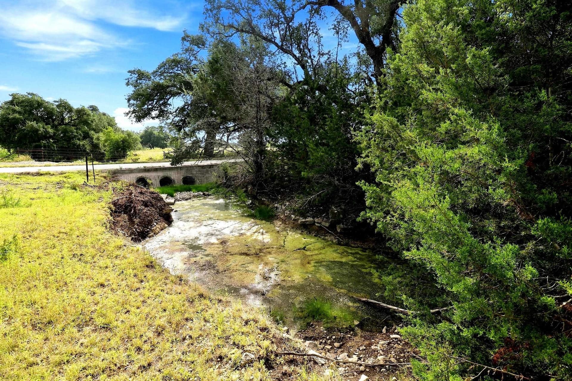 30 acres in Williamson County - photo 8