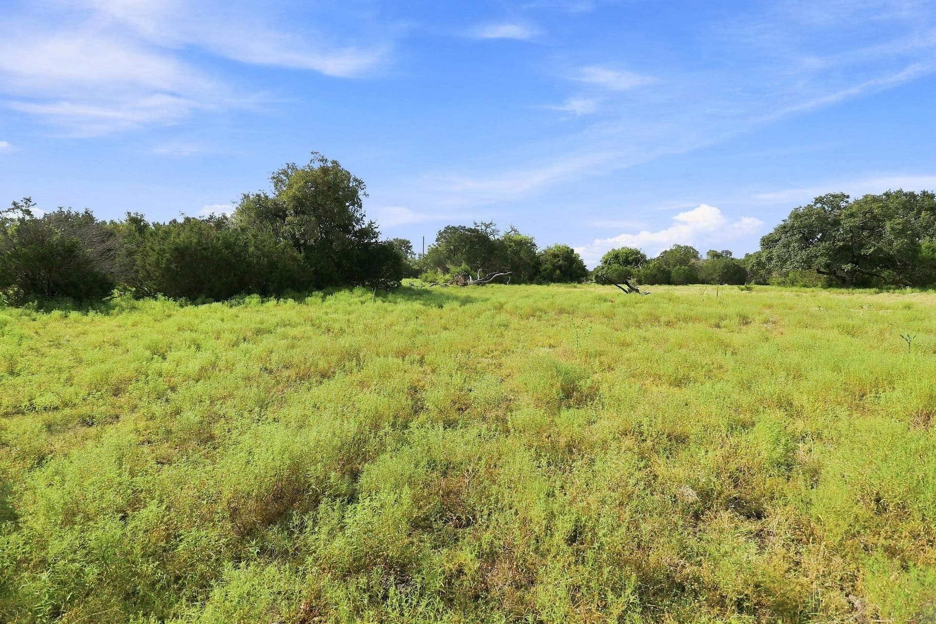 30 acres in Williamson County - photo 22