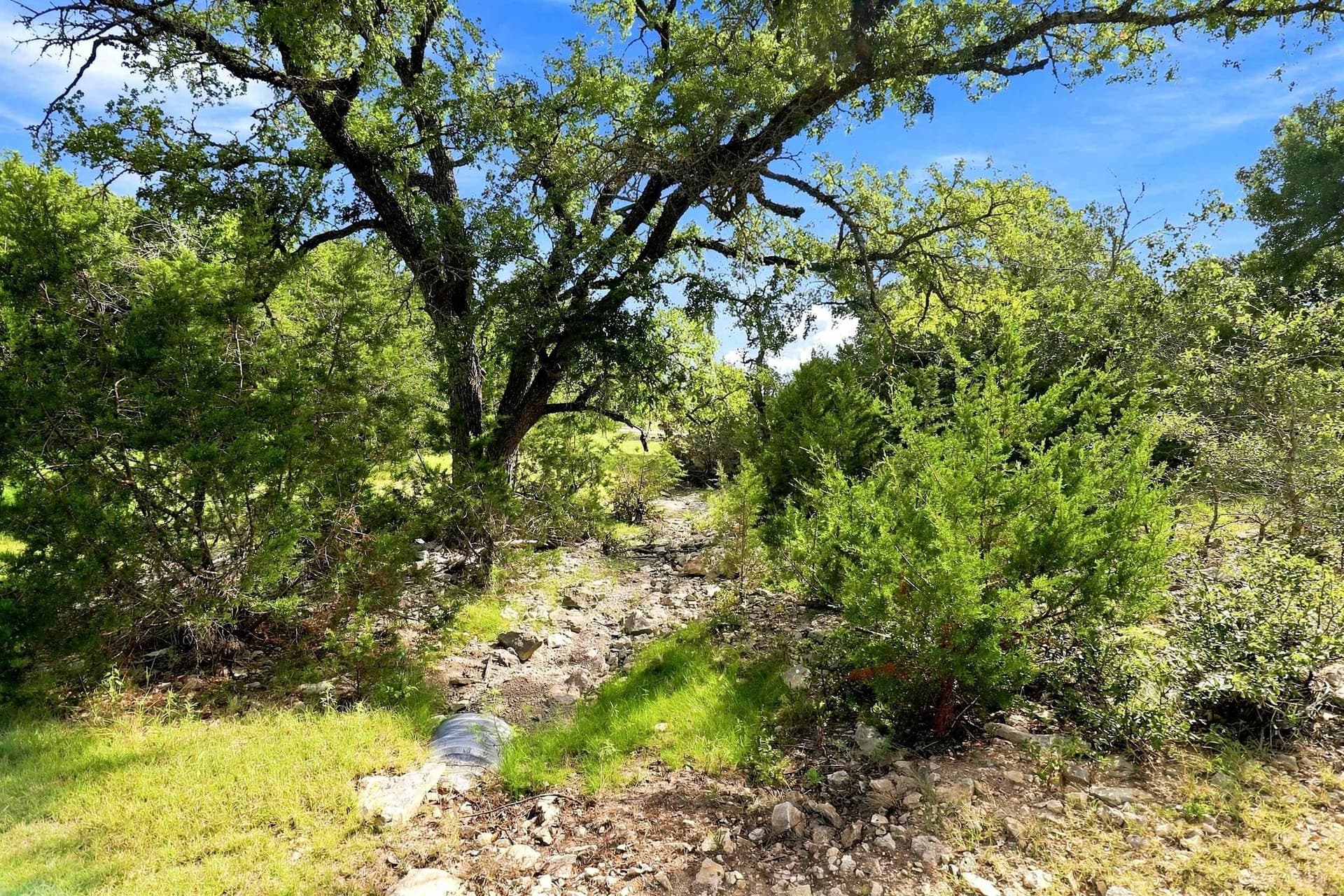 30 acres in Williamson County - photo 10