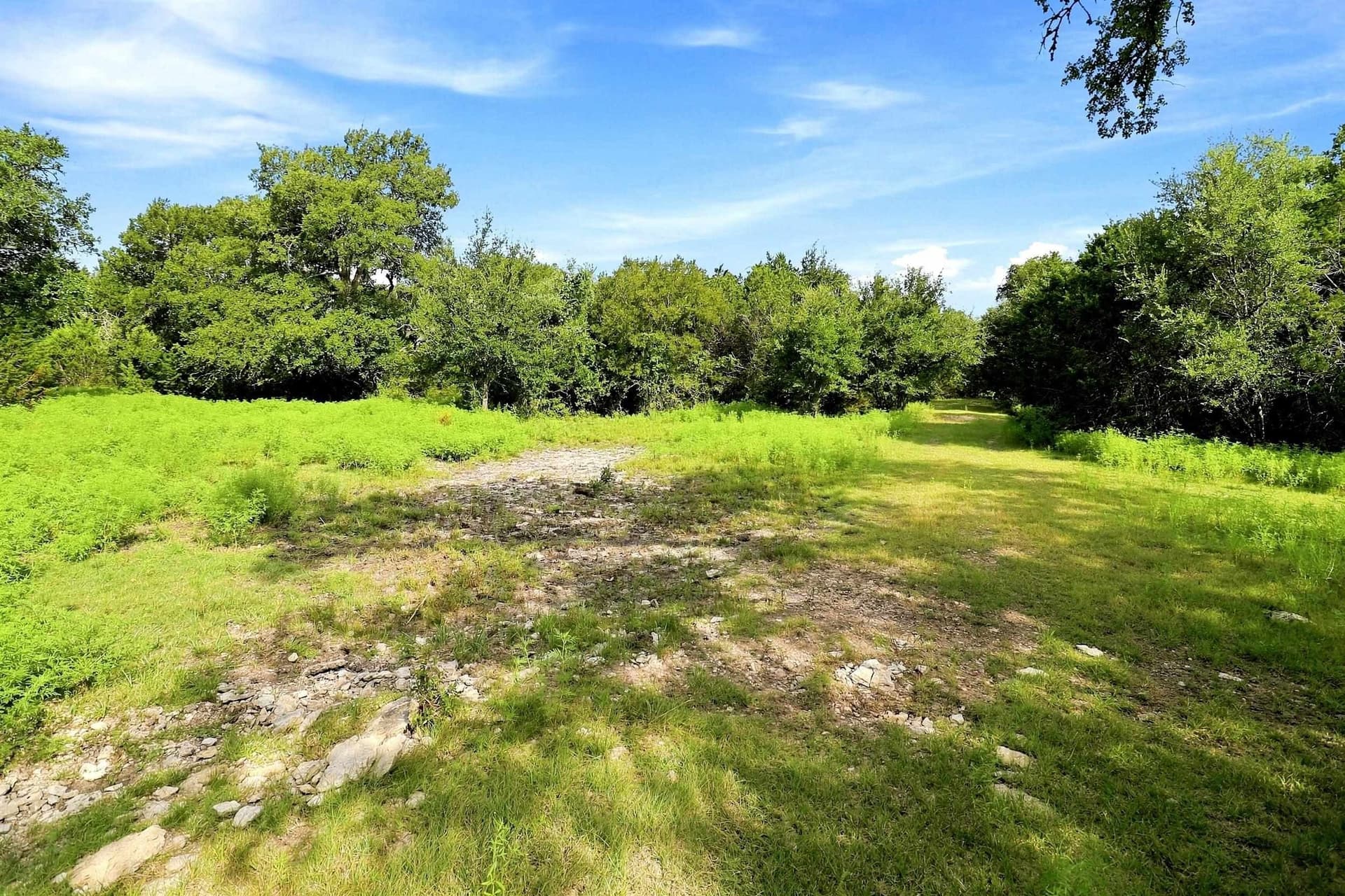 30 acres in Williamson County - photo 13