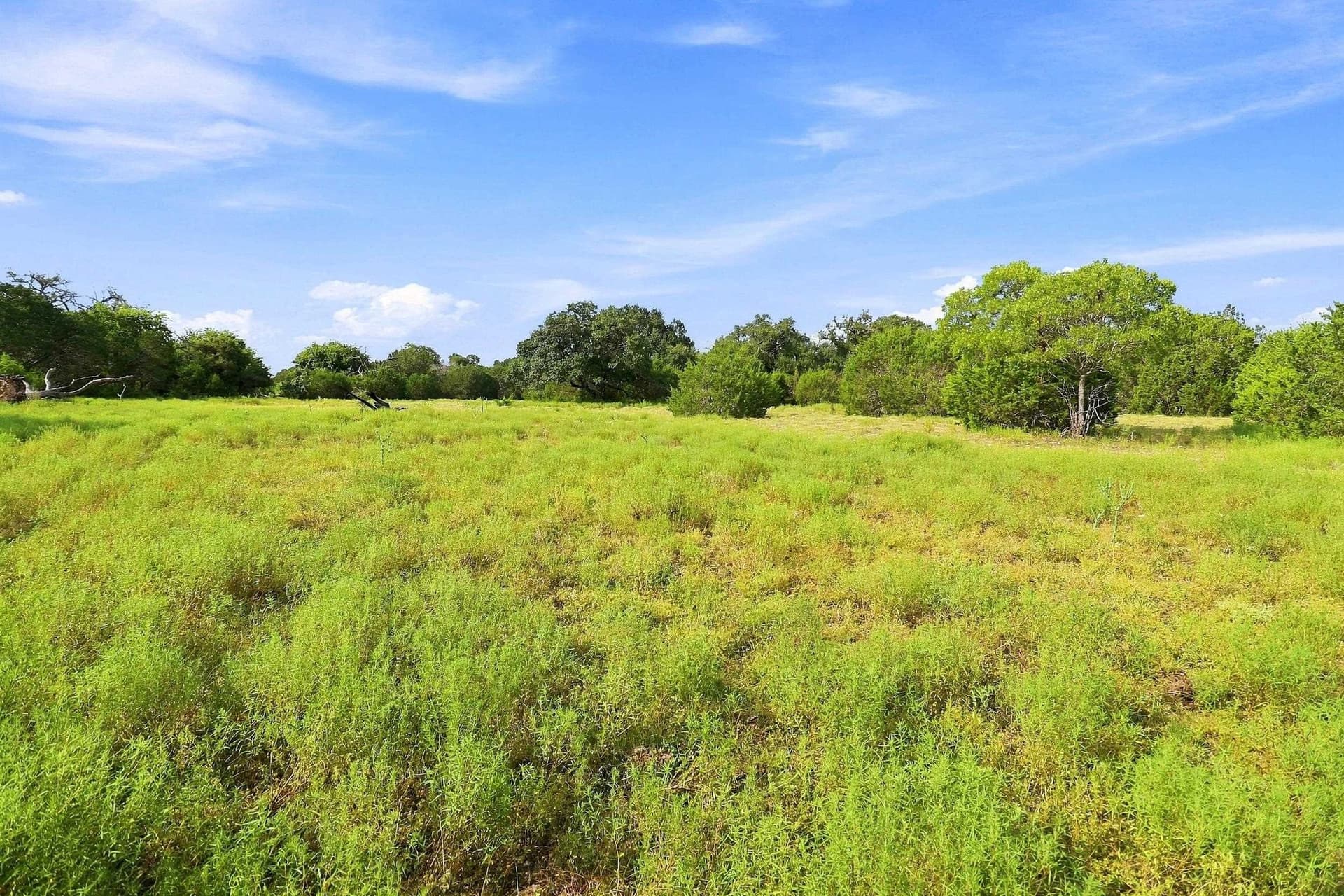 30 acres in Williamson County - photo 25