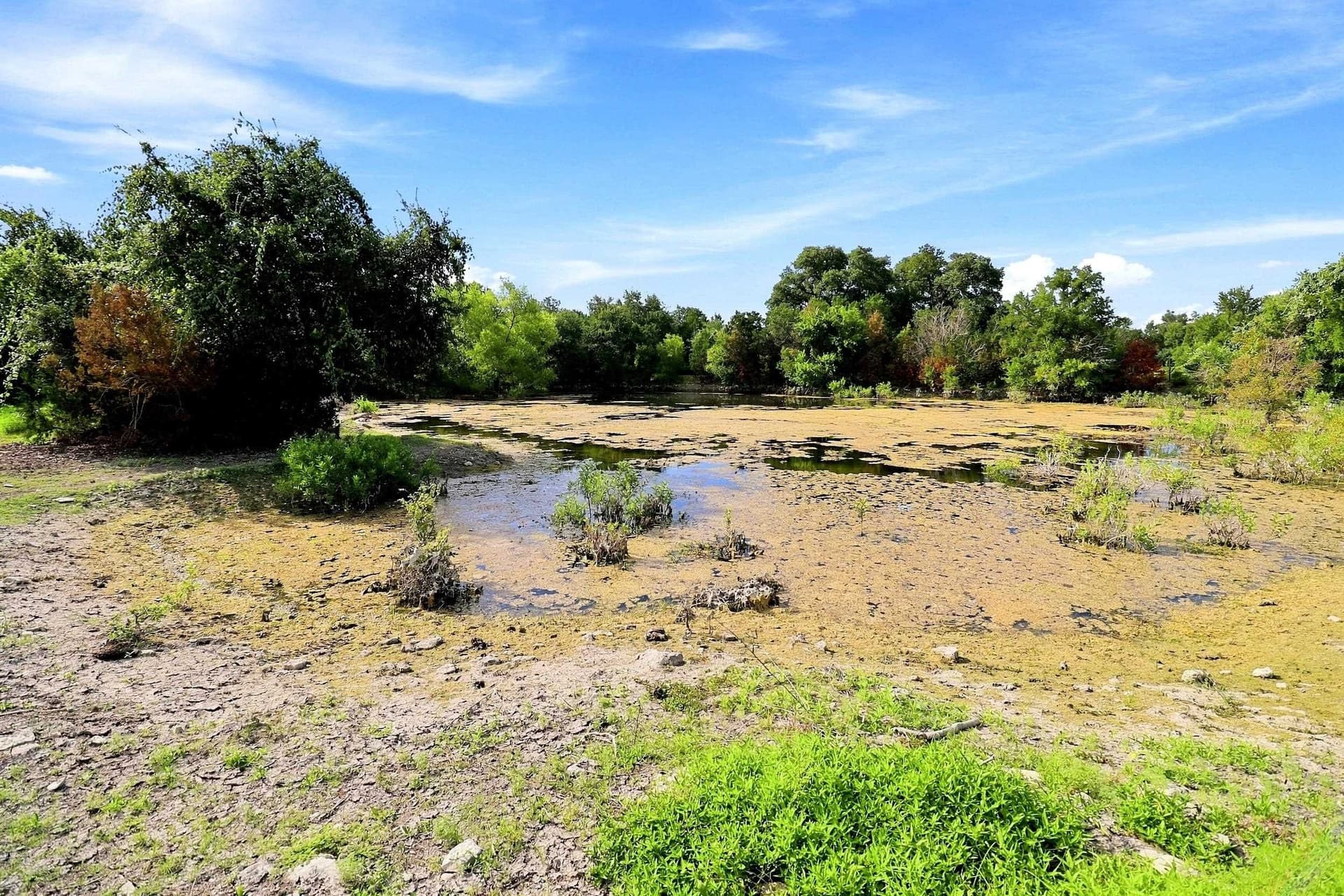 30 acres in Williamson County - photo 20