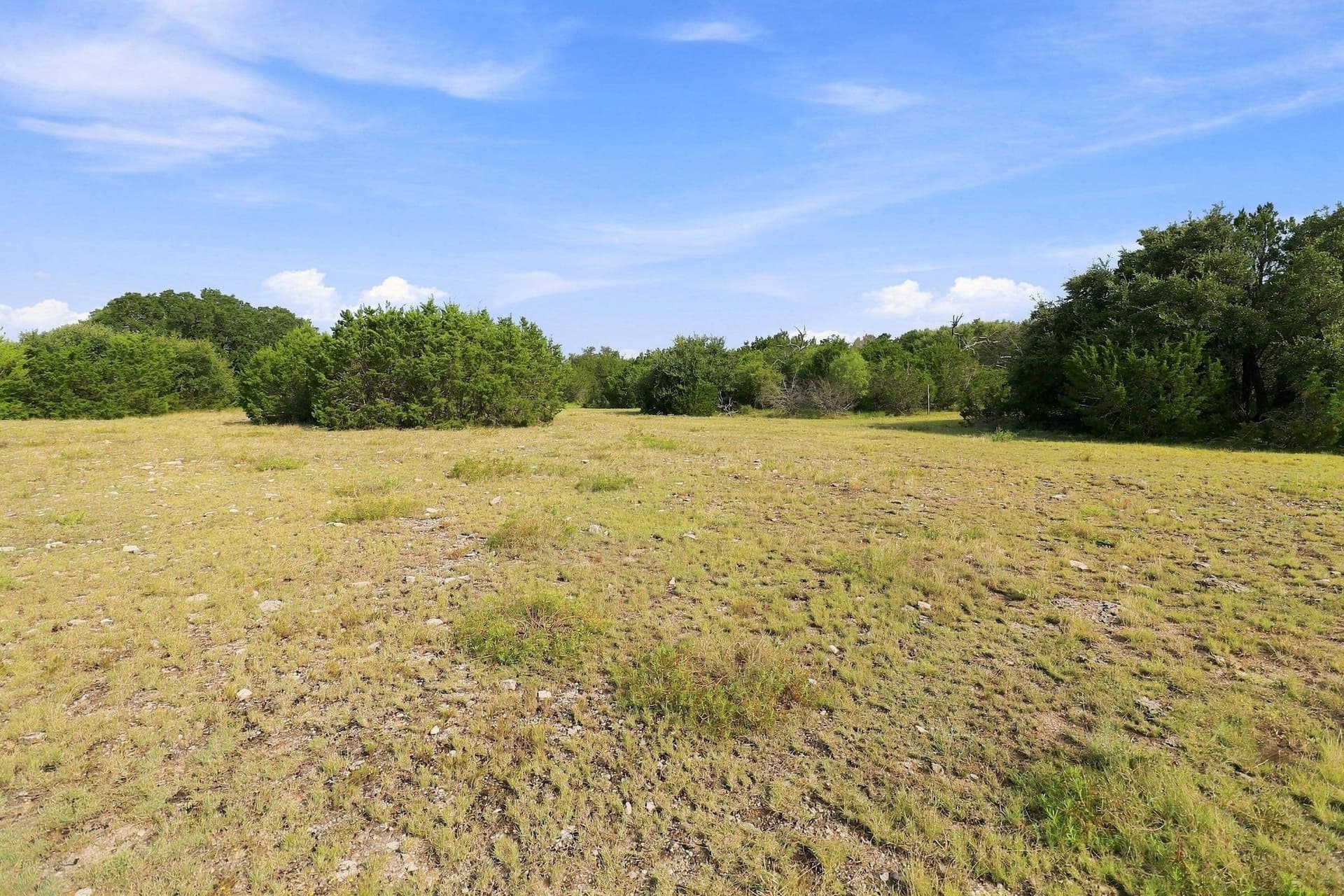 30 acres in Williamson County - photo 26