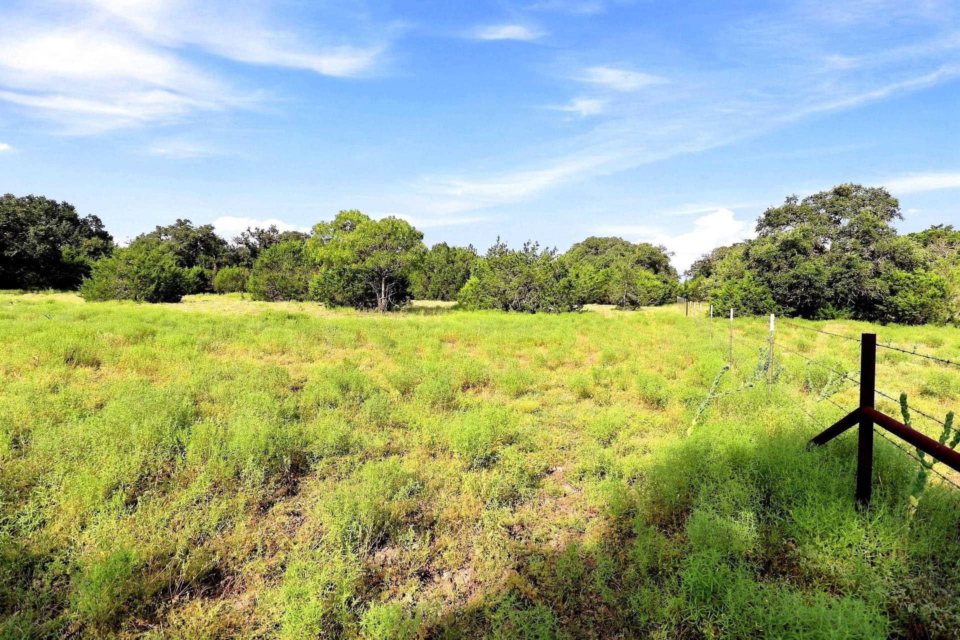 30 acres in Williamson County - photo 23