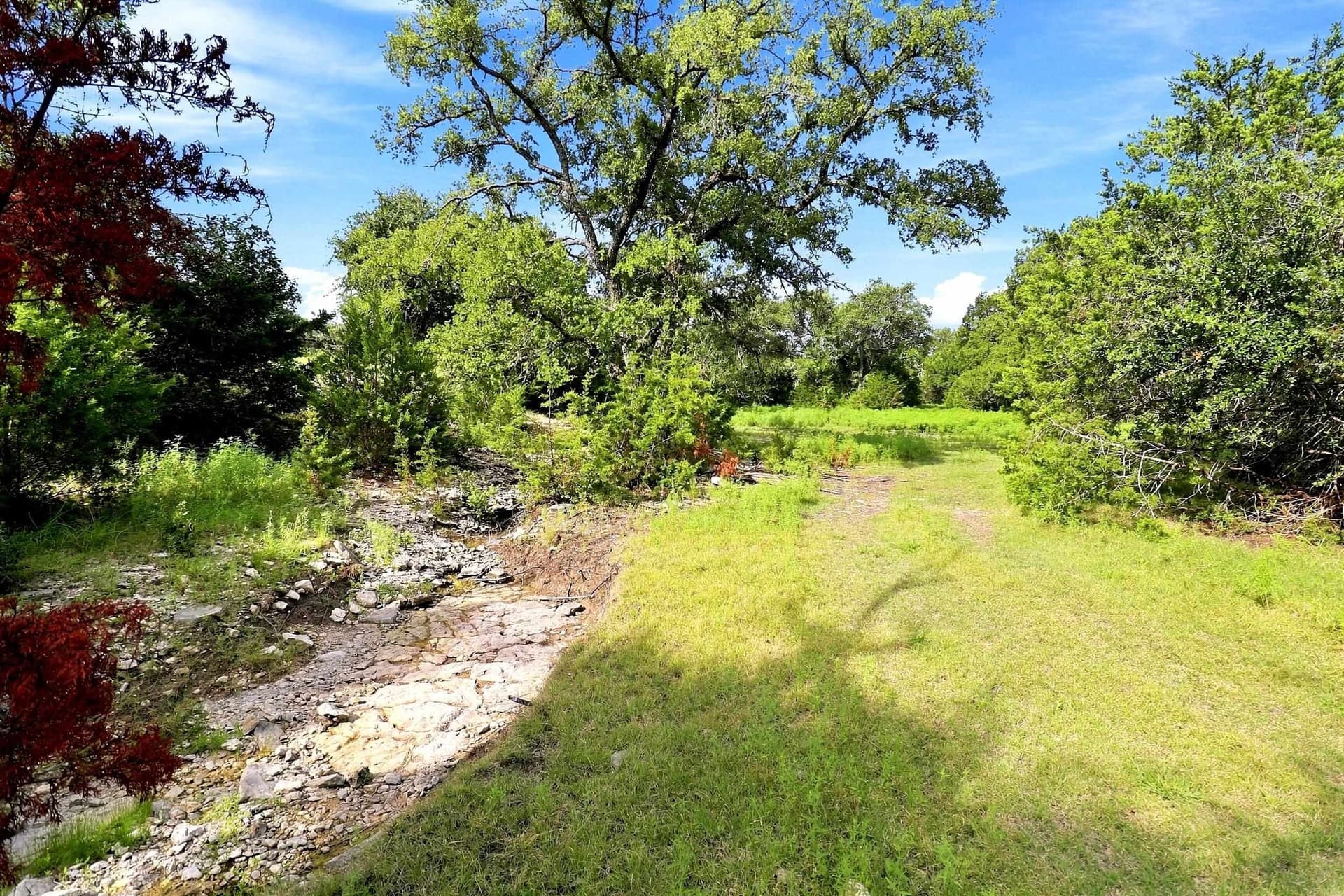 30 acres in Williamson County - photo 9