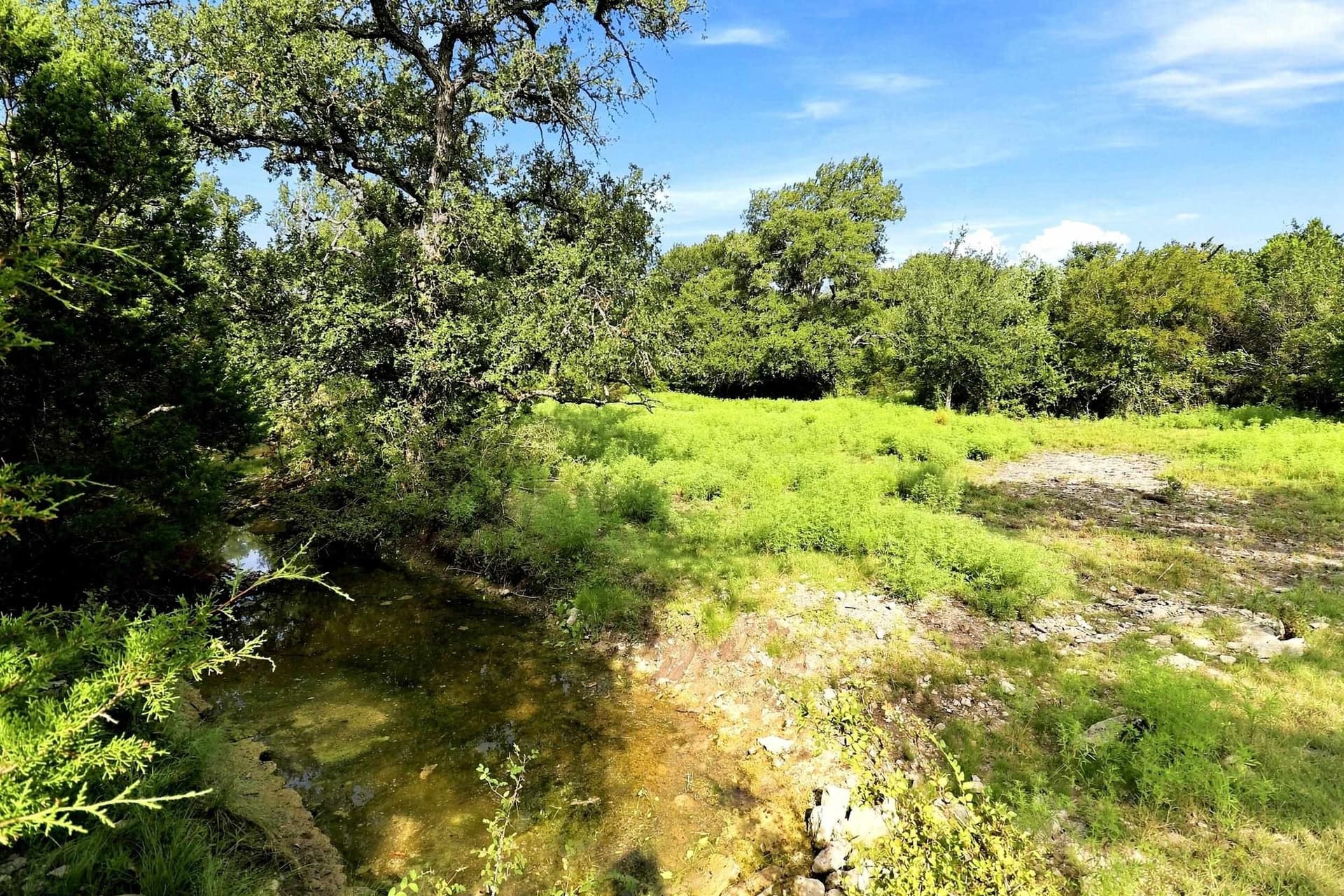 30 acres in Williamson County - photo 11