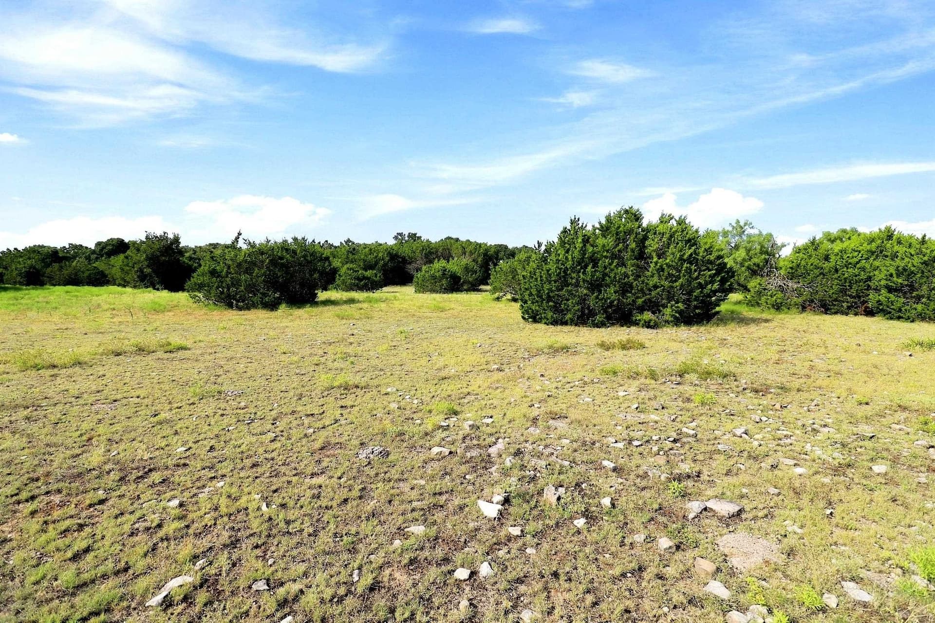 30 acres in Williamson County - photo 24