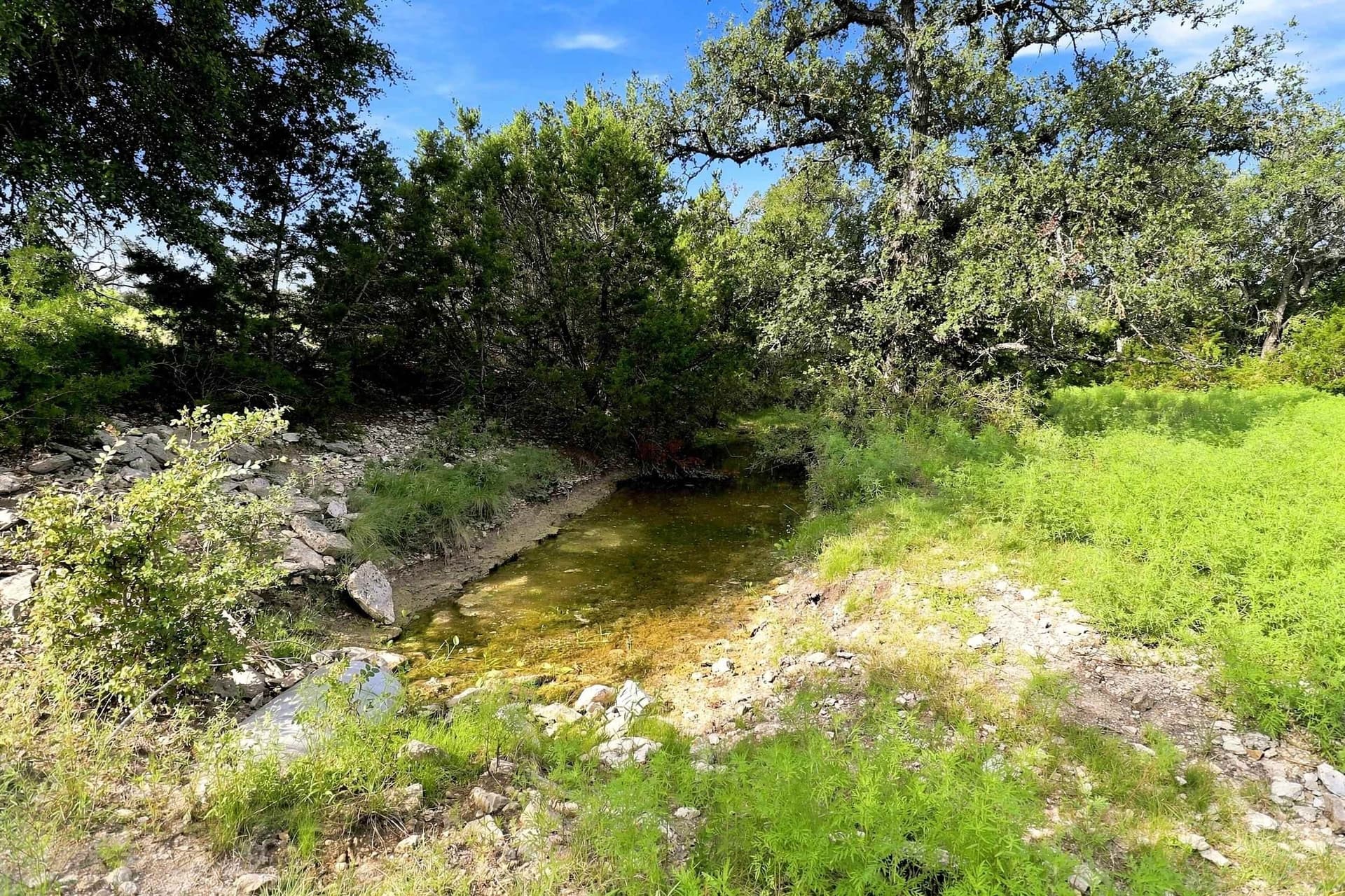 30 acres in Williamson County - photo 12