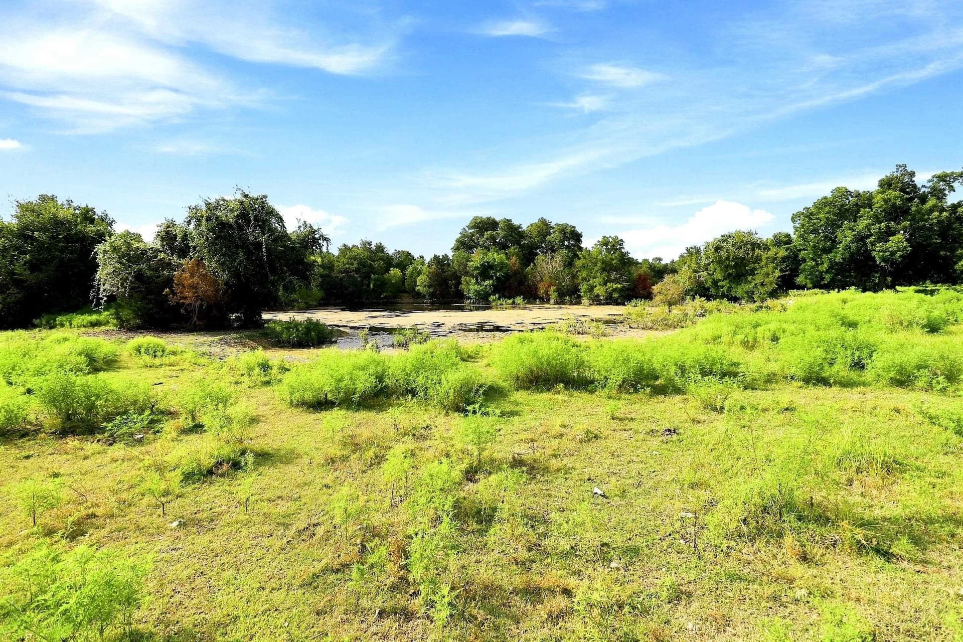 30 acres in Williamson County - photo 21