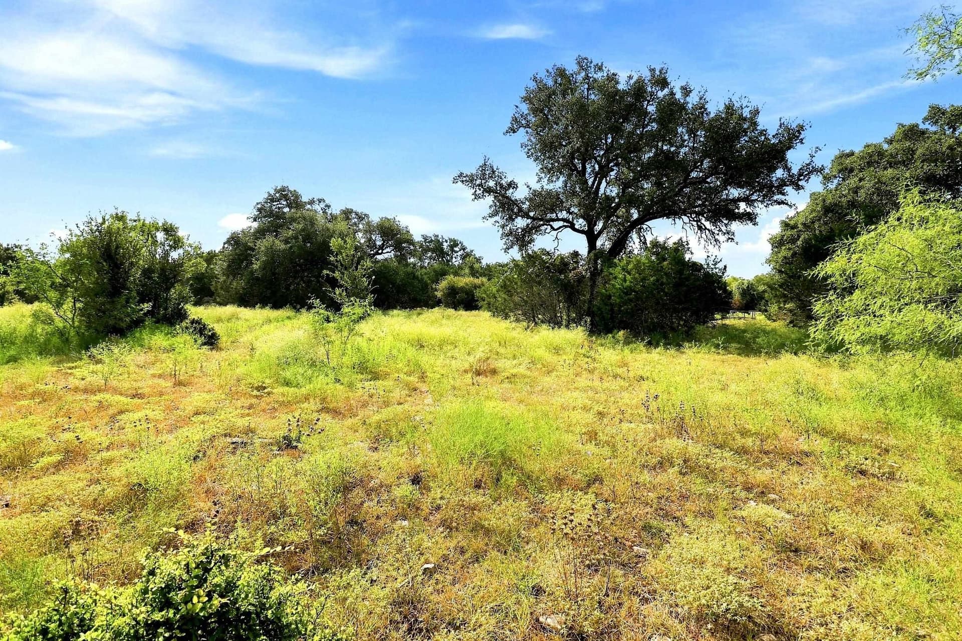 30 acres in Williamson County - photo 16