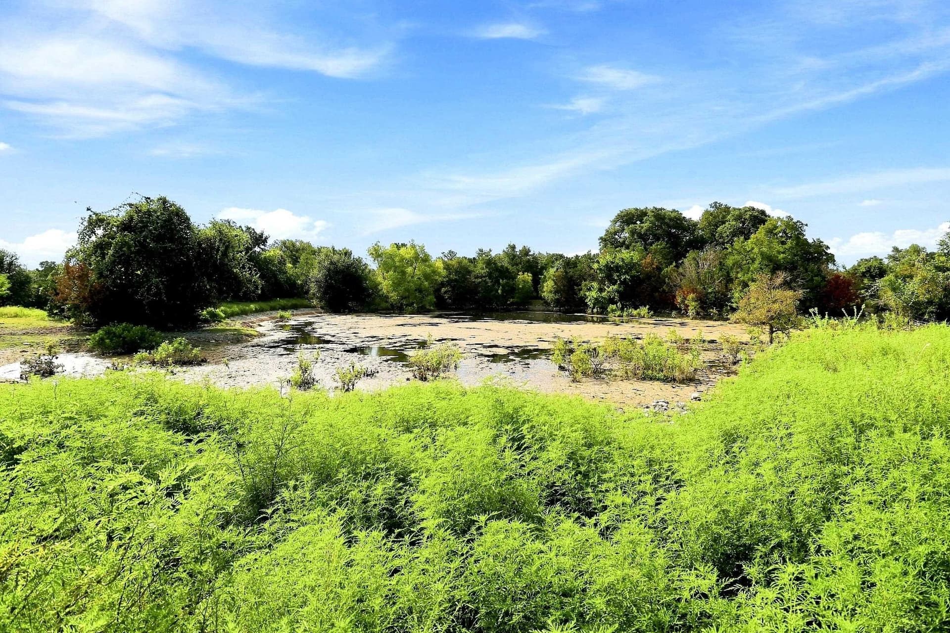 30 acres in Williamson County - photo 19
