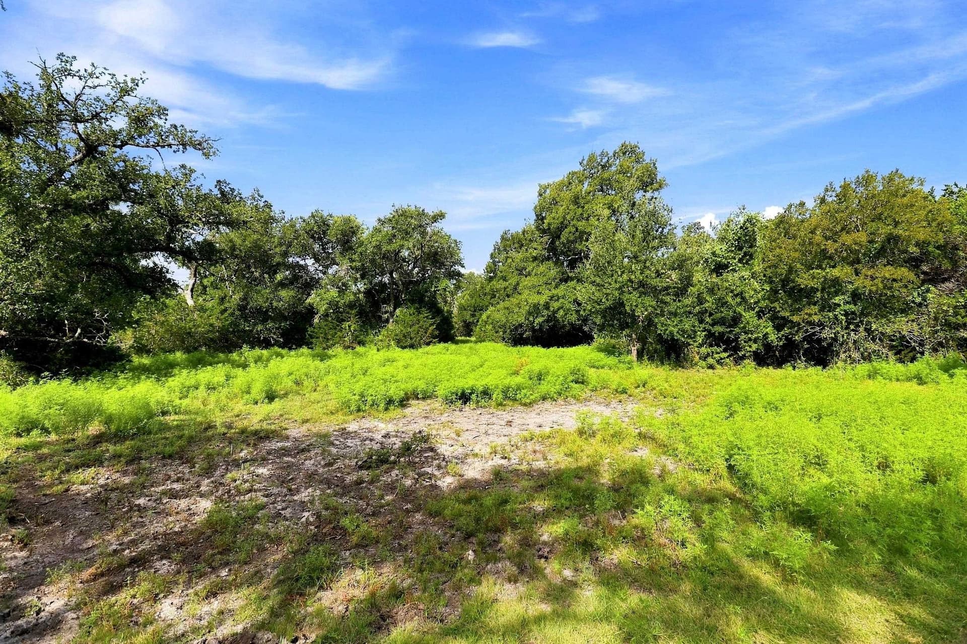 30 acres in Williamson County - photo 7