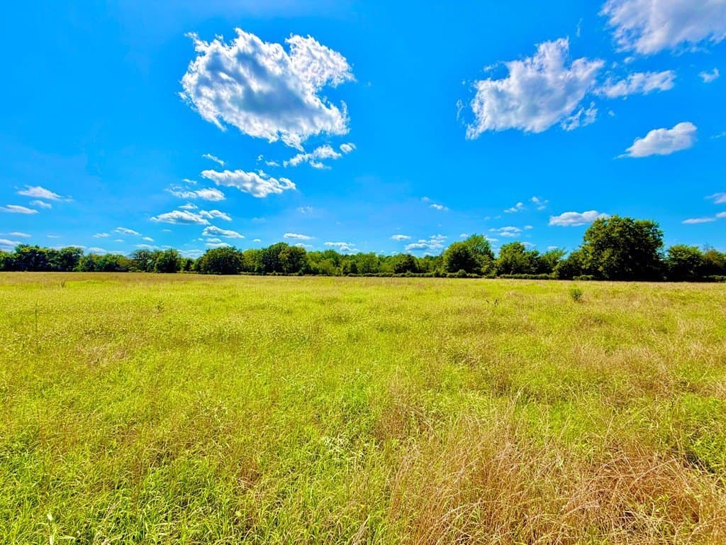 23.45 acres in Texas County featured view