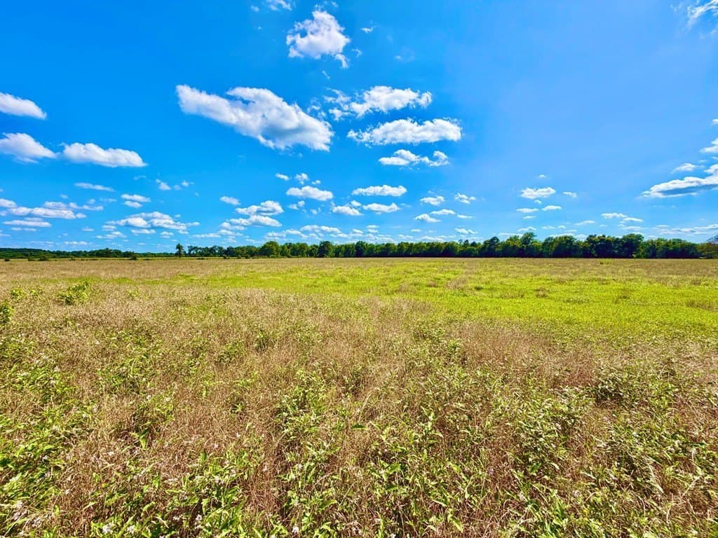 23.45 acres in Texas County - photo 6