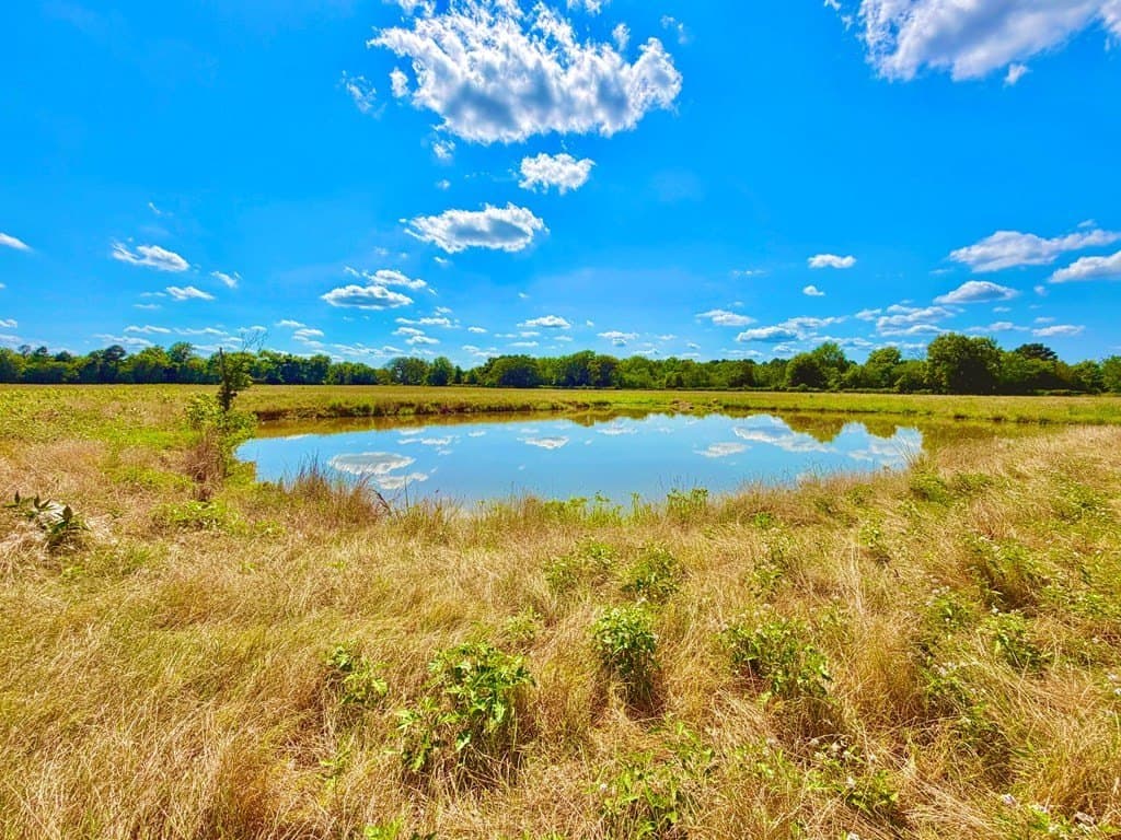 23.45 acres in Texas County - photo 8