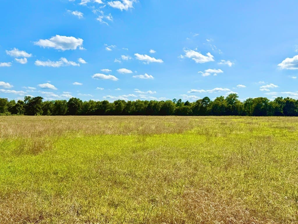 23.45 acres in Texas County - photo 10