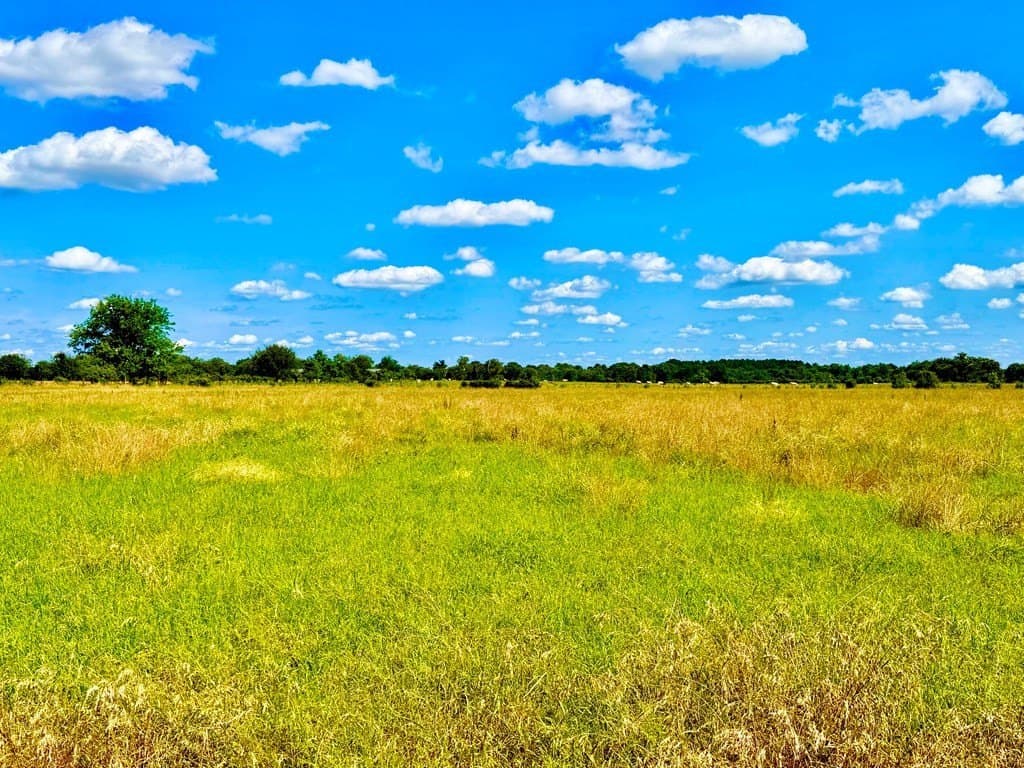 23.45 acres in Texas County - photo 11