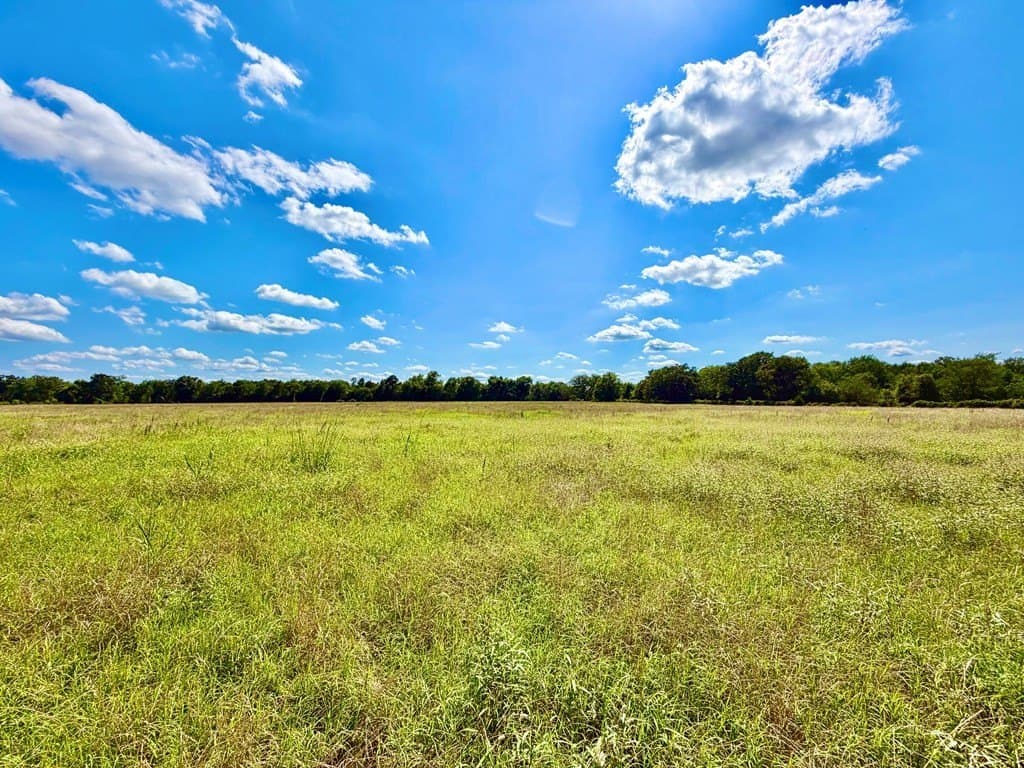 23.45 acres in Texas County gallery image 4