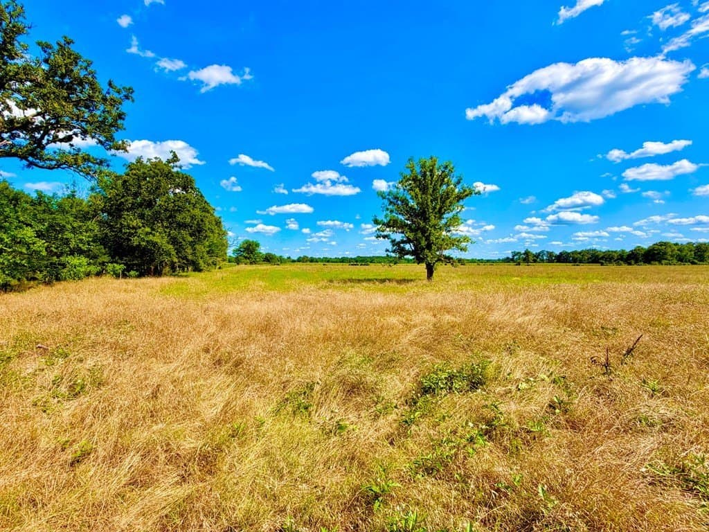 23.45 acres in Texas County - photo 9