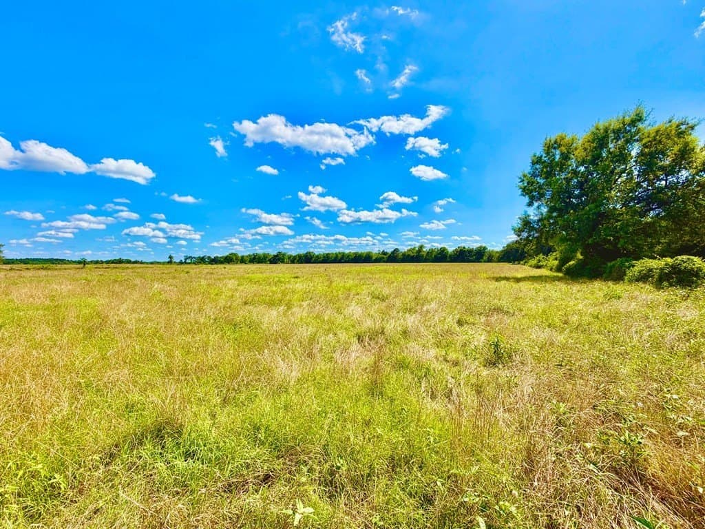 23.45 acres in Texas County gallery image 3