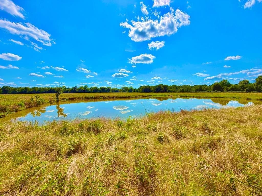 23.45 acres in Texas County