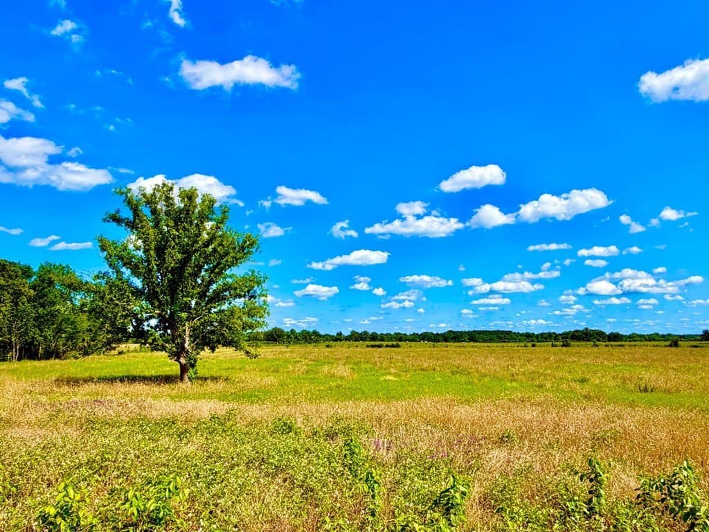 23.45 acres in Texas County - photo 7