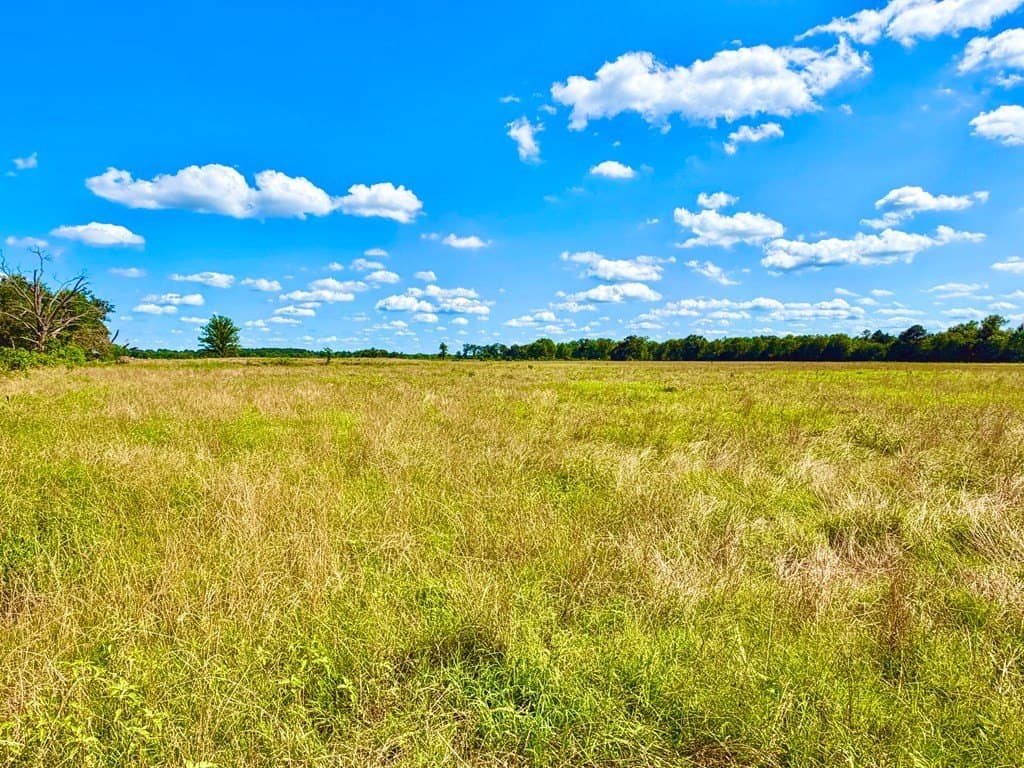 23.45 acres in Texas County gallery image 2