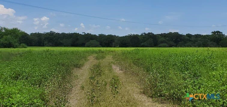 343.24 acres in Victoria County - photo 27